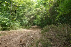property photo for Springlake Plat 4 Tract 59, 0.22 acres for sale in Miller County, Missouri